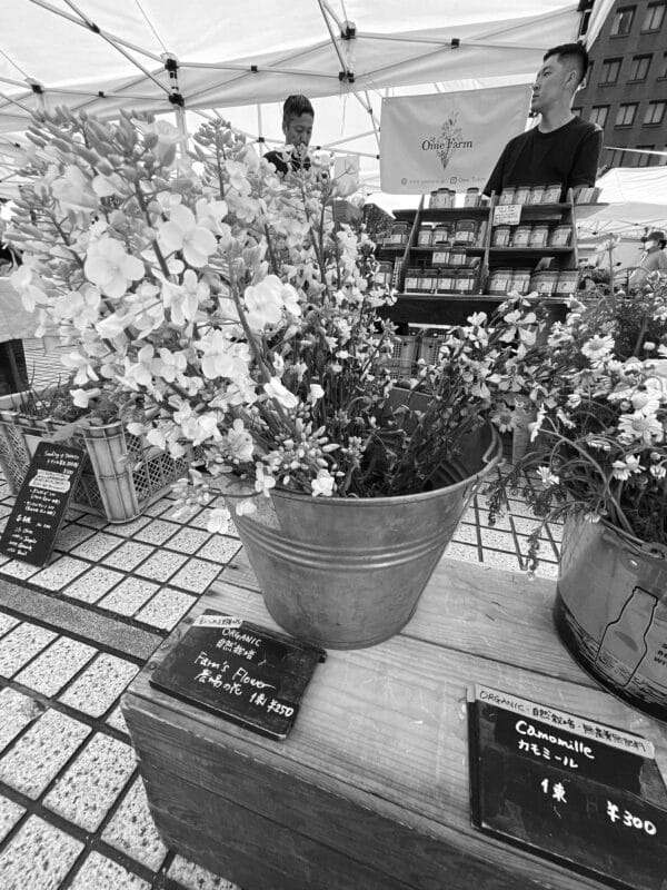Farmers Market Tokyo 青山ファーマーズマーケット May 2024 Kikusumi Tokyo Flower Shop