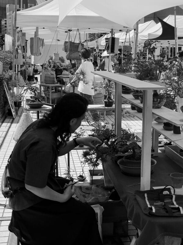 TOKYO Autumn Farmers Market Setpember 2024 bonsai