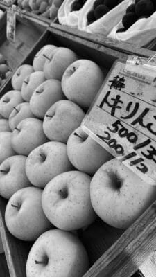 Japan Autumn Fruit 2024