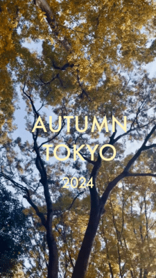 AUTUMN TOKYO KIKUSUMI at the Aoyama Farmers Market